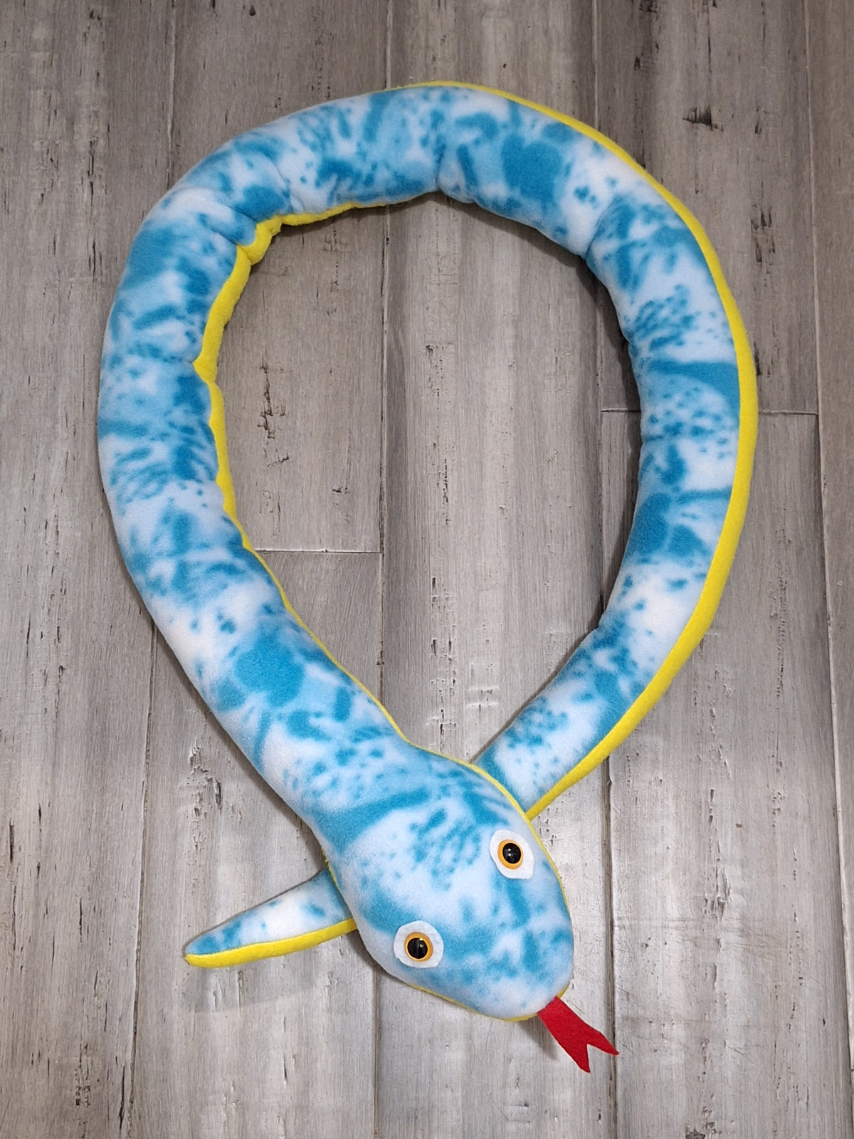 Orange Eyed Cloudy Snake
