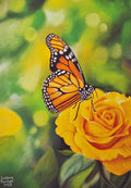 Butterfly on a Yellow Rose