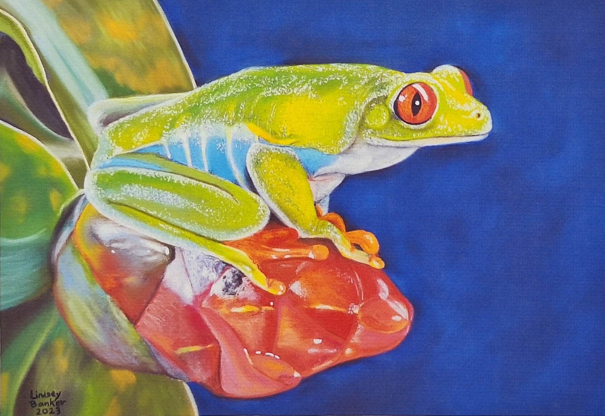 Frog On A Flower