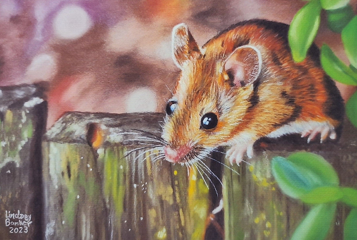 Mouse on the Fence