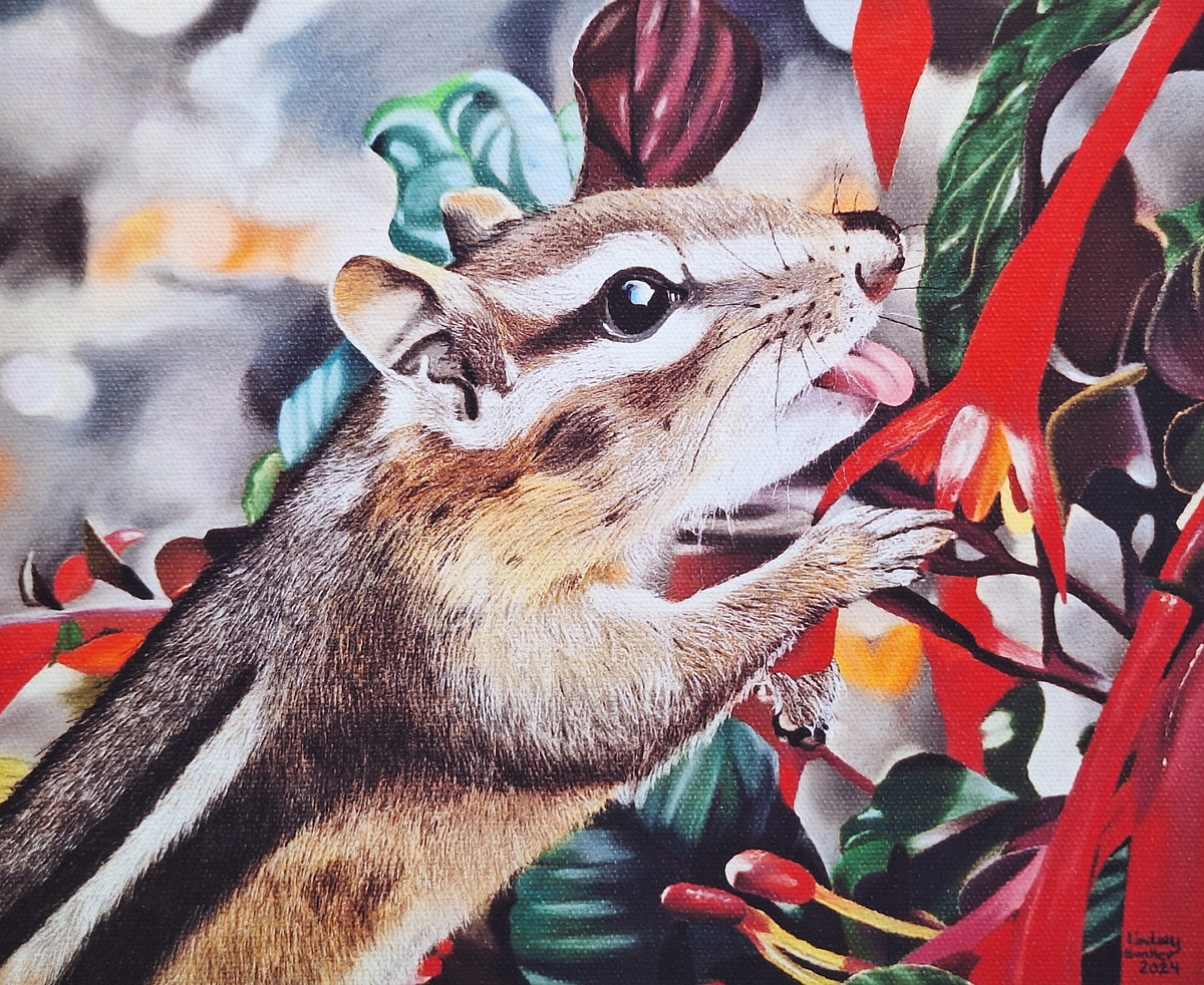 Chipmunk