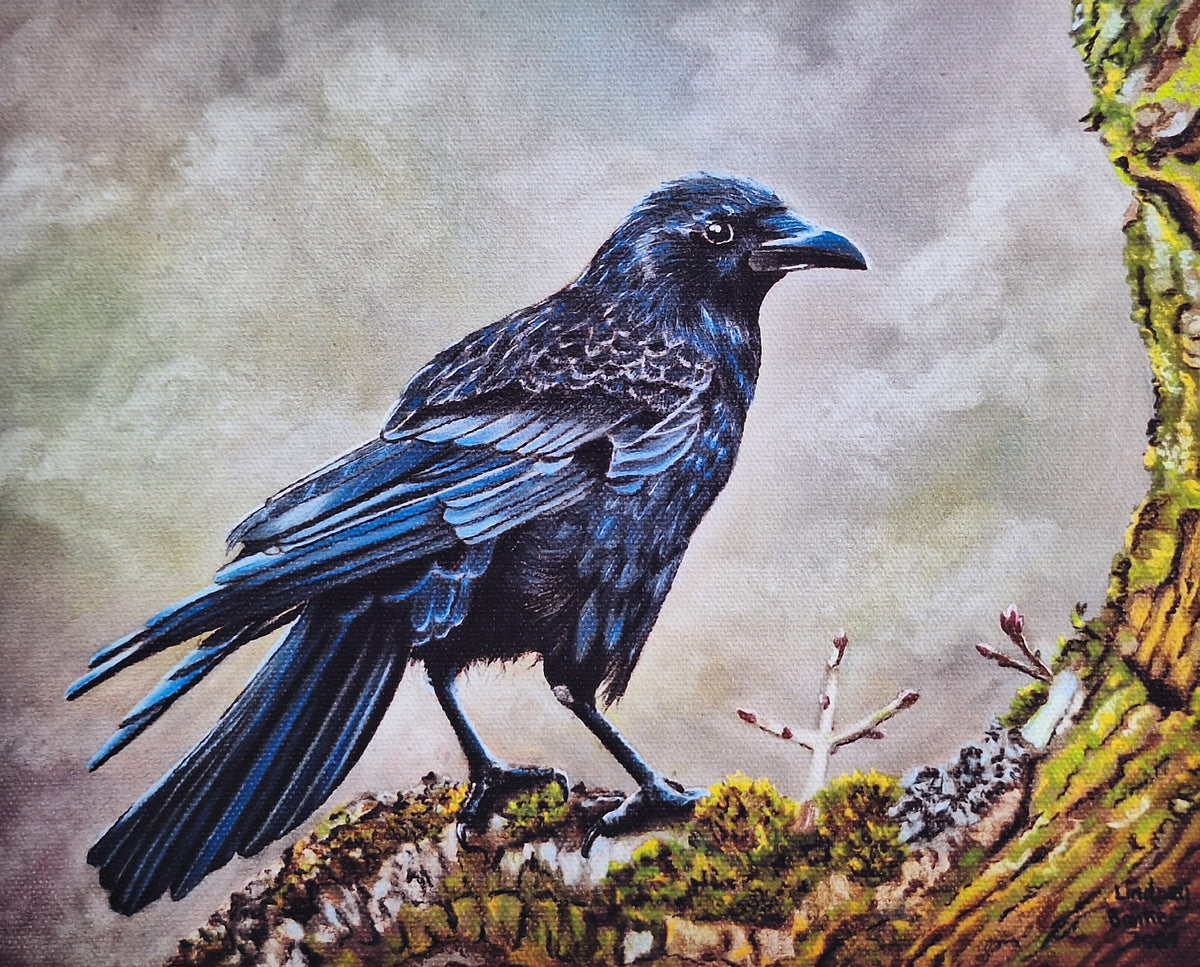 Crow on a Branch