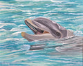 Dolphin 1