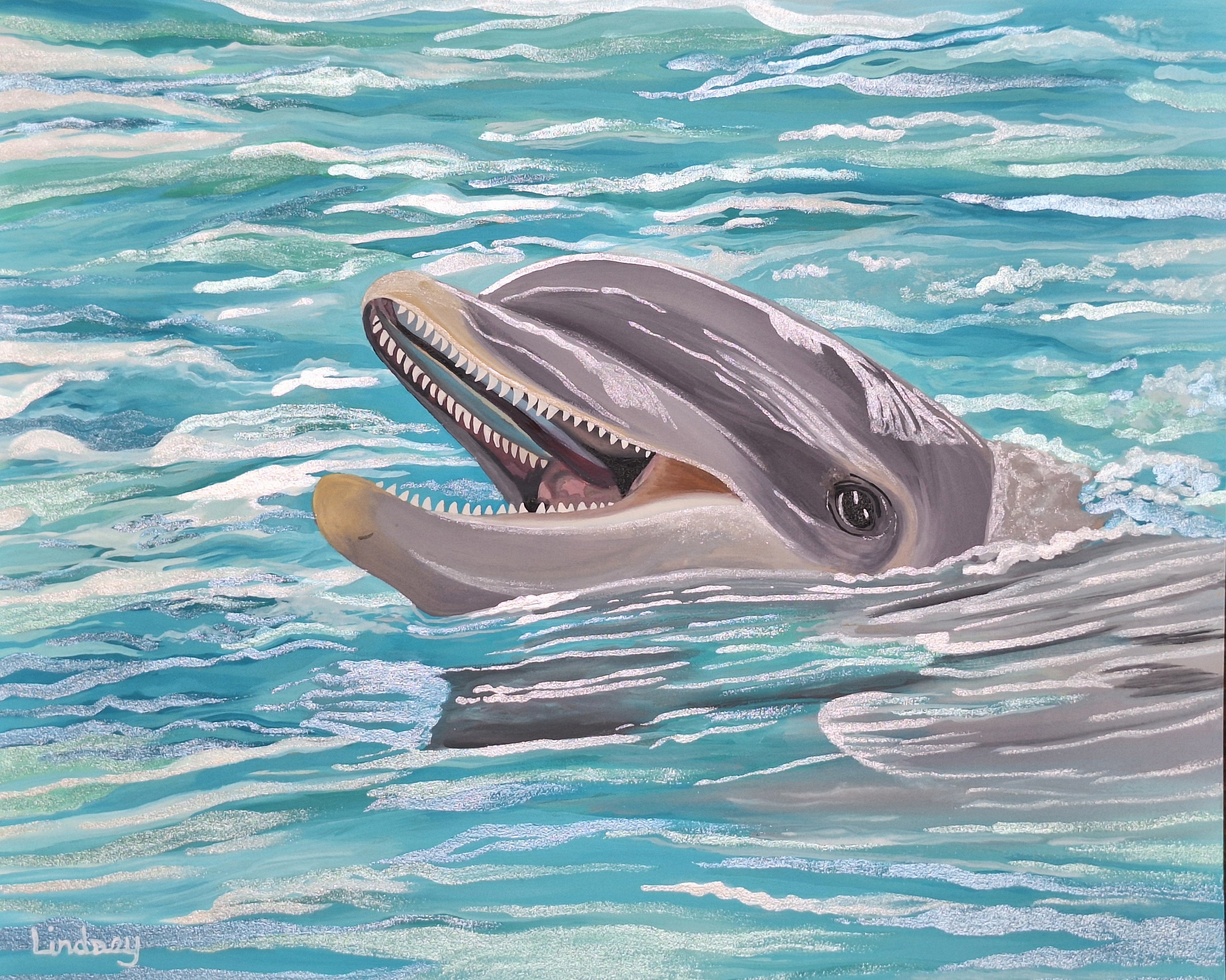 Dolphin 1