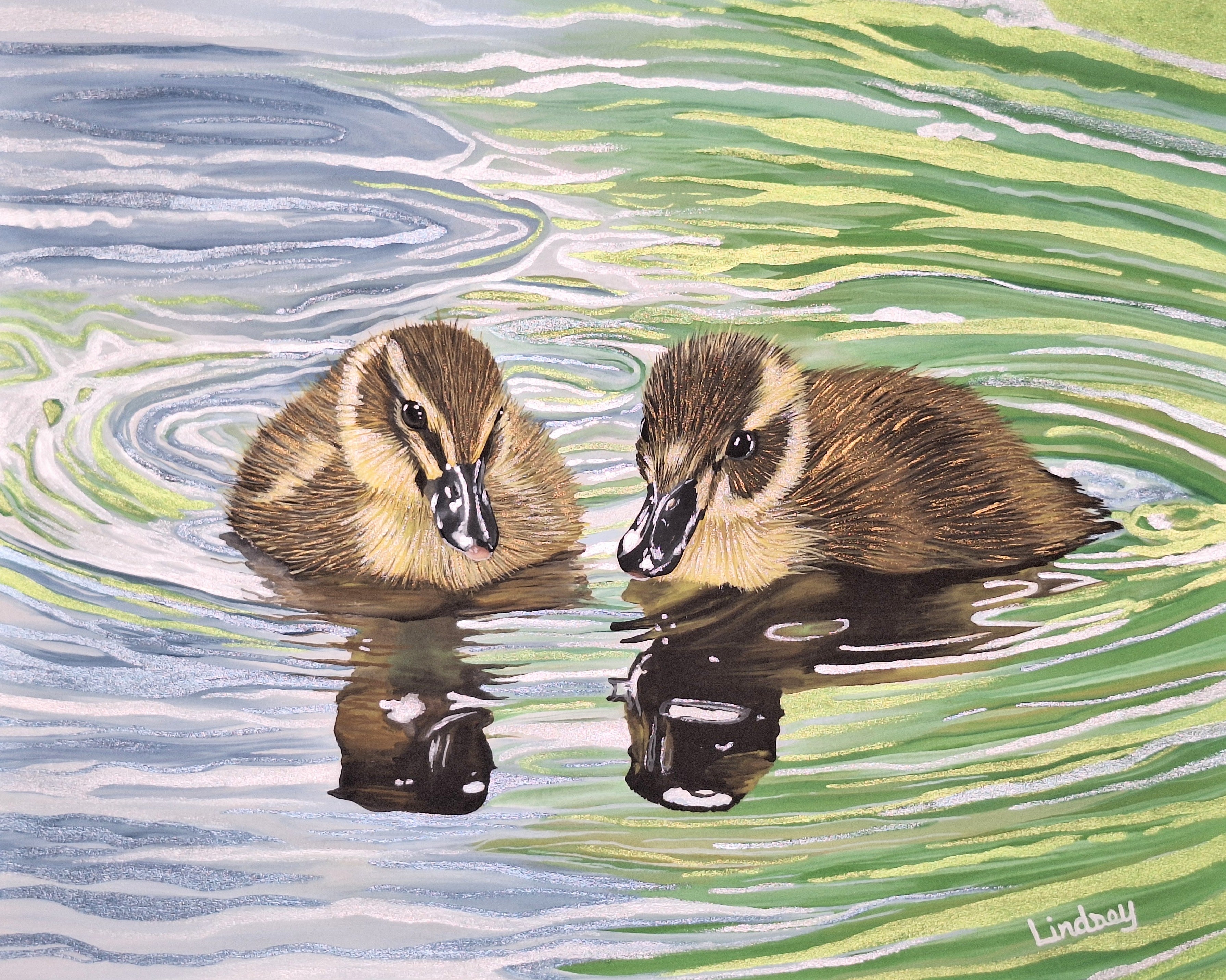 Ducks 1