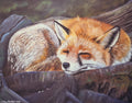 Fox 1
