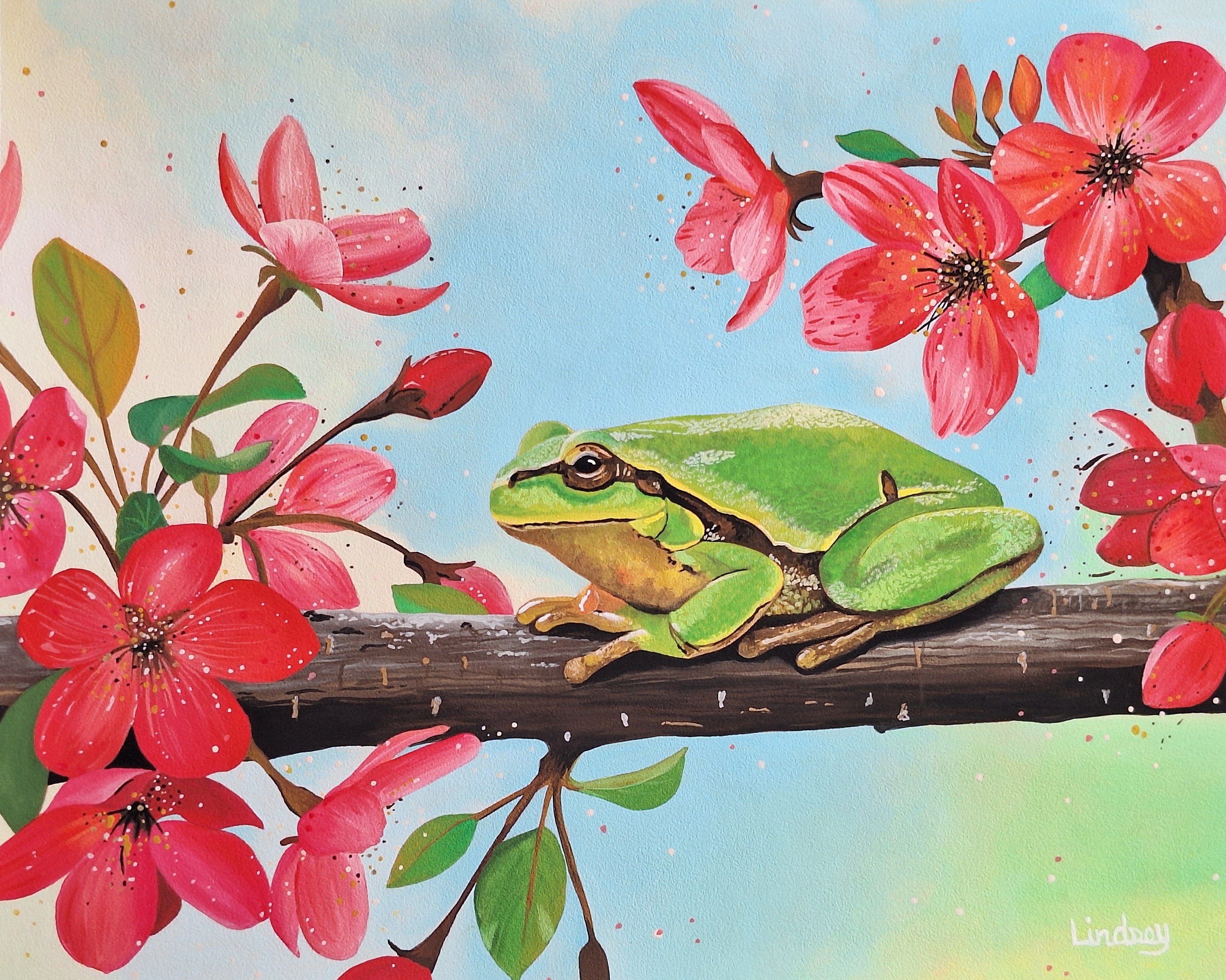 Frog 1