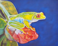 Frog on Flower