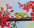 Frog in the Flowers