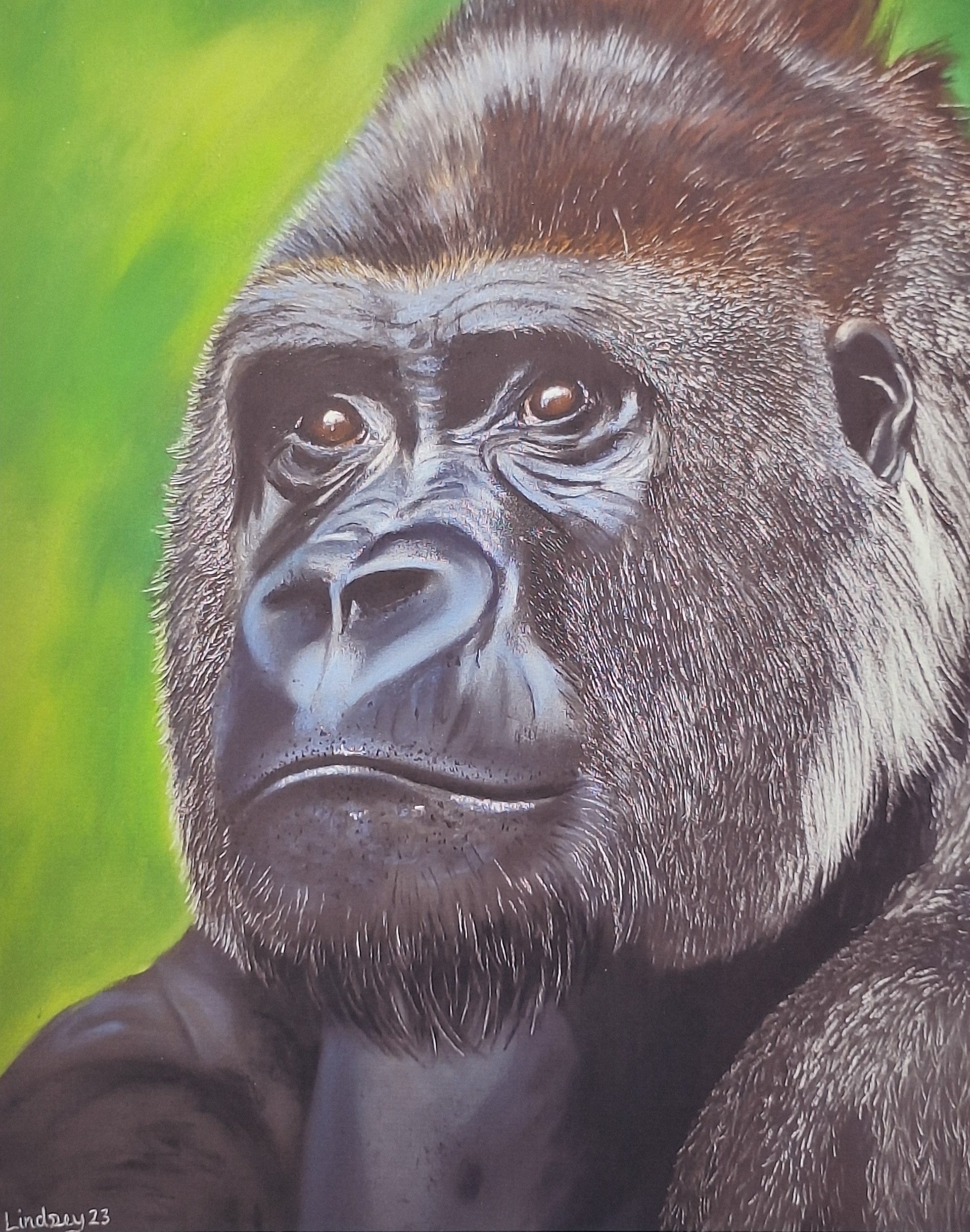 Gorilla