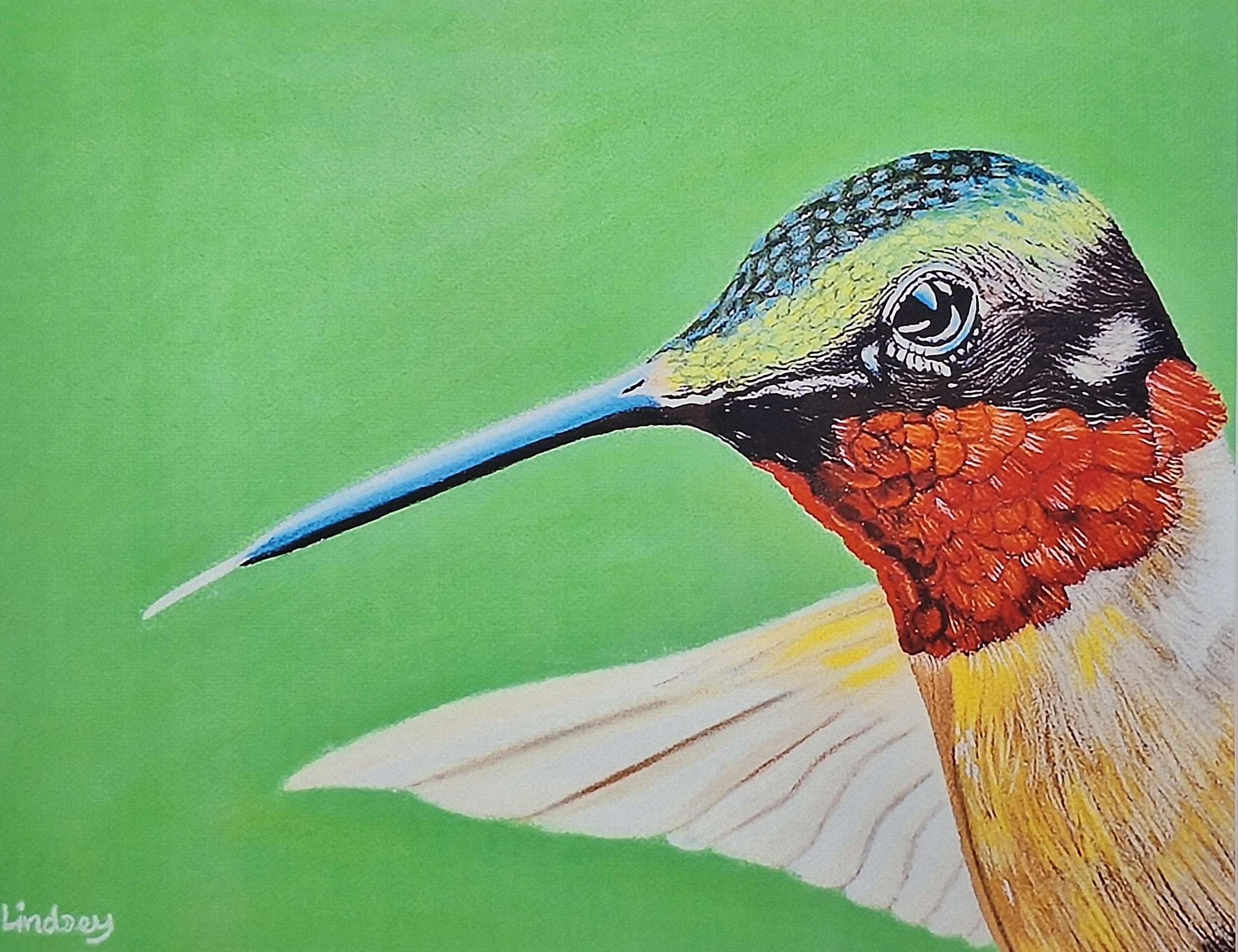 Humming Bird