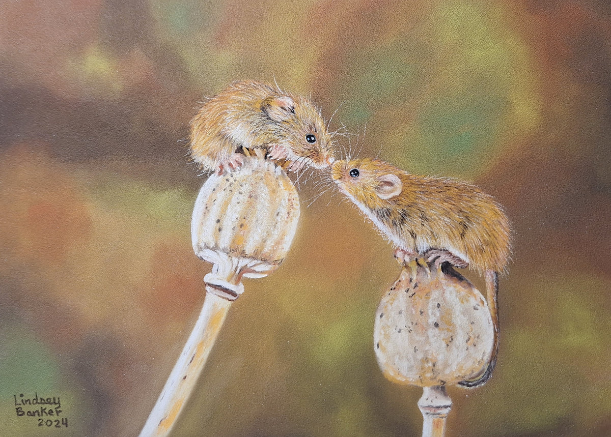 Kissing Mice