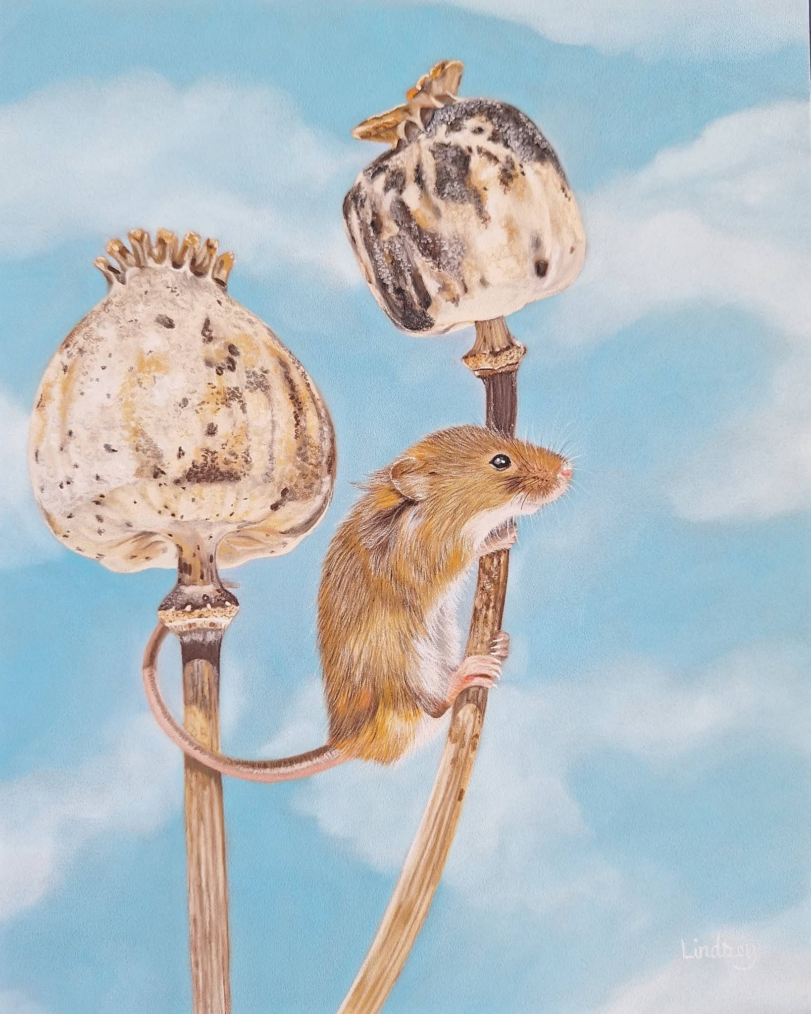 Mouse 1