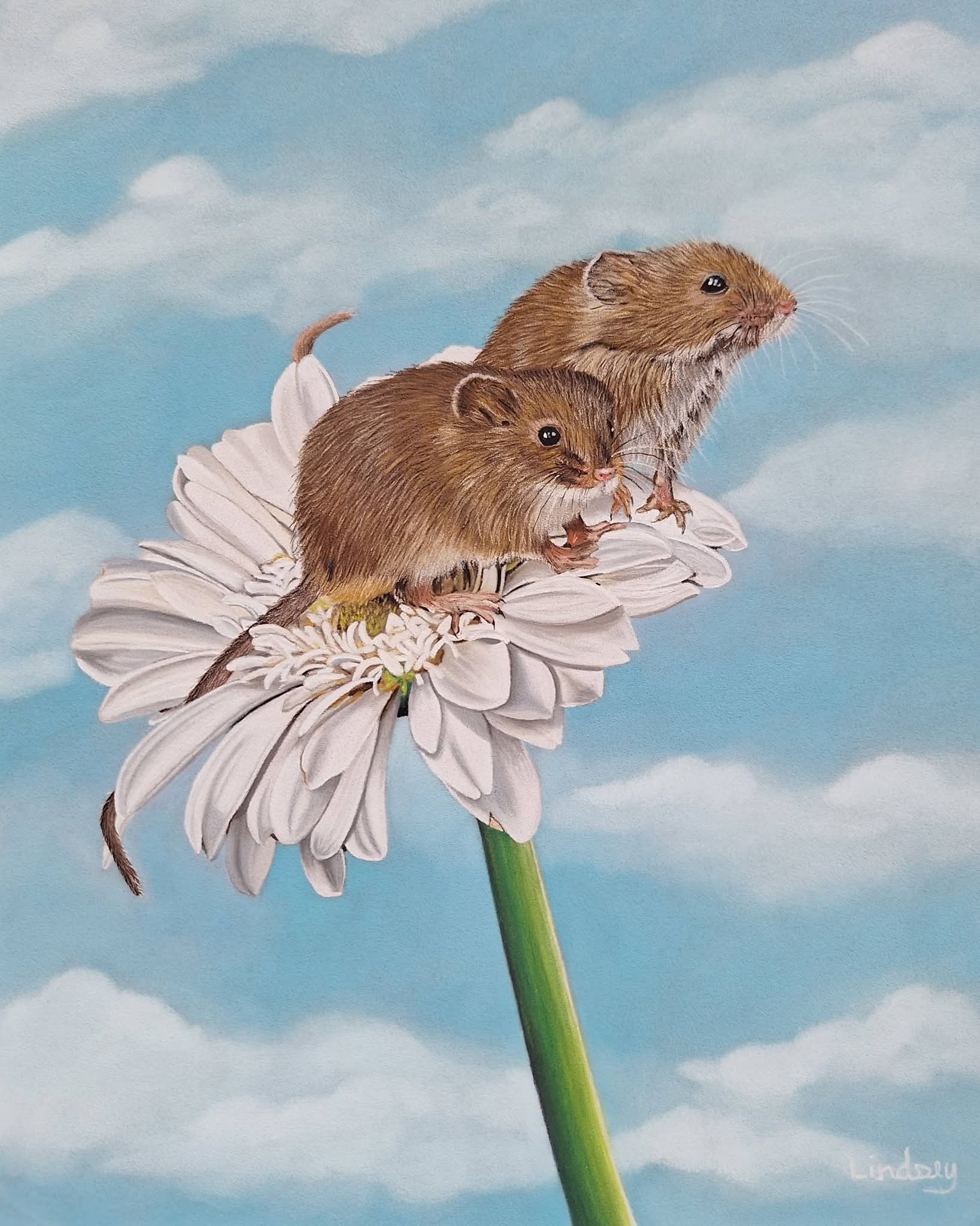 Mouse 2