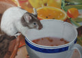 Mouse at the Tea Party