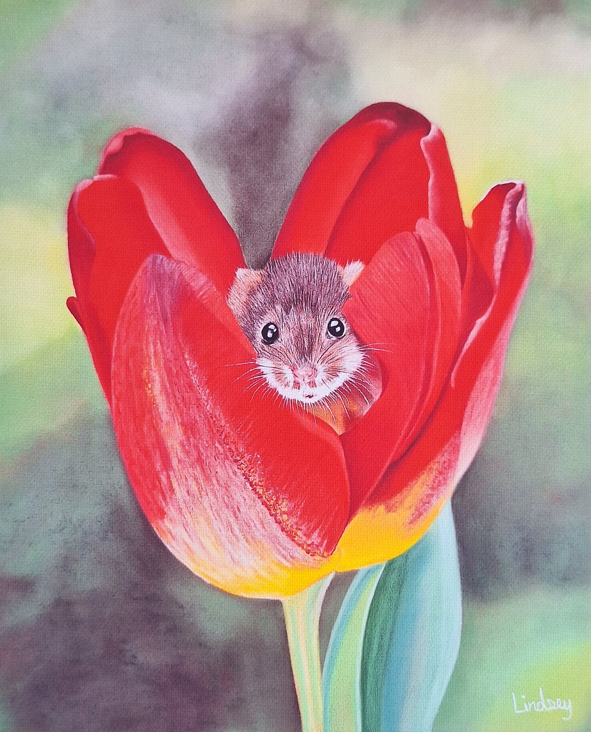 Mouse in Tulip