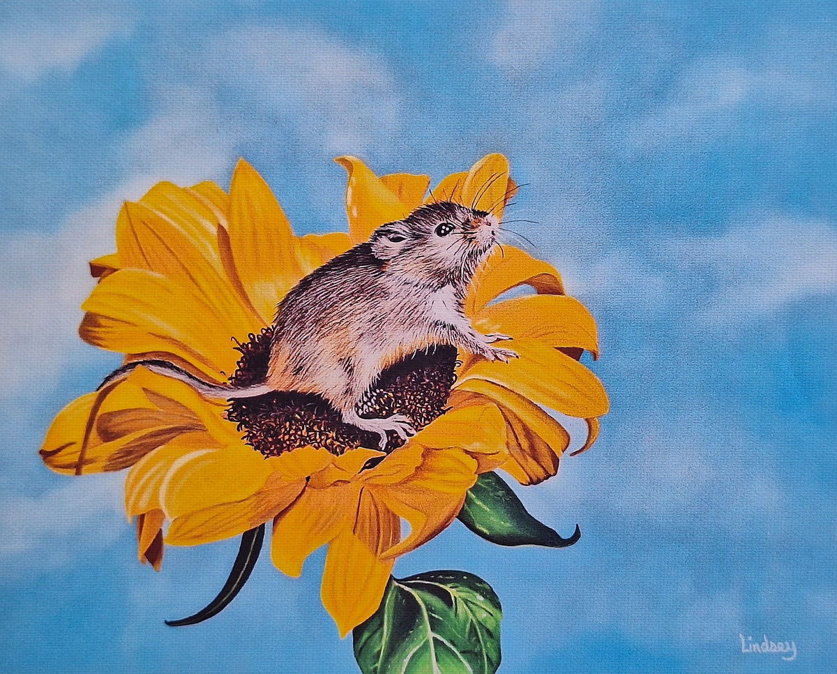 Mouse on a Sunflower