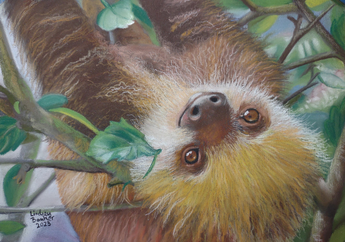 Sloth