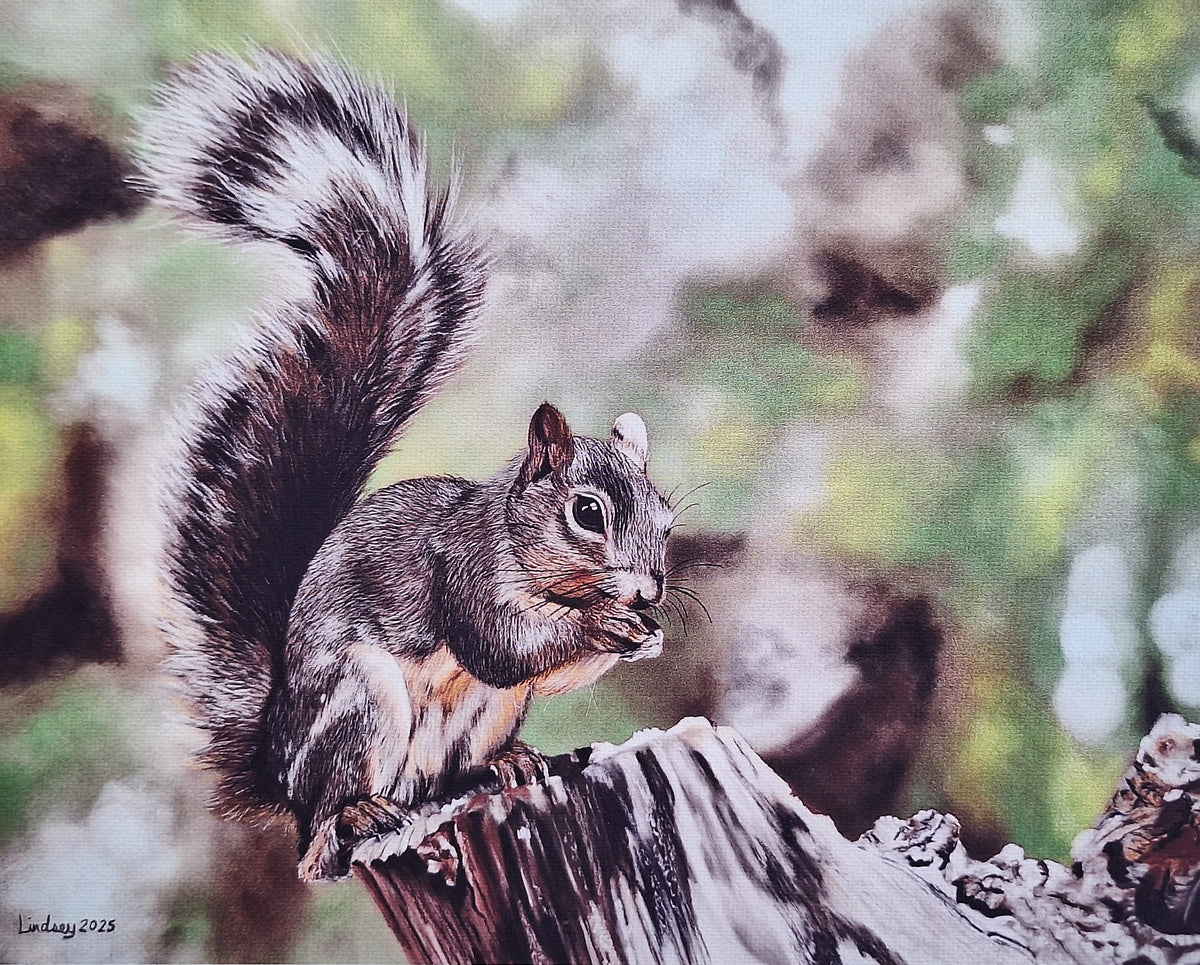 Squirrel on a Stump