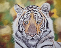 Tiger 1