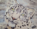 White Tiger