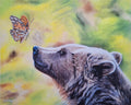 Bear and the Butterfly
