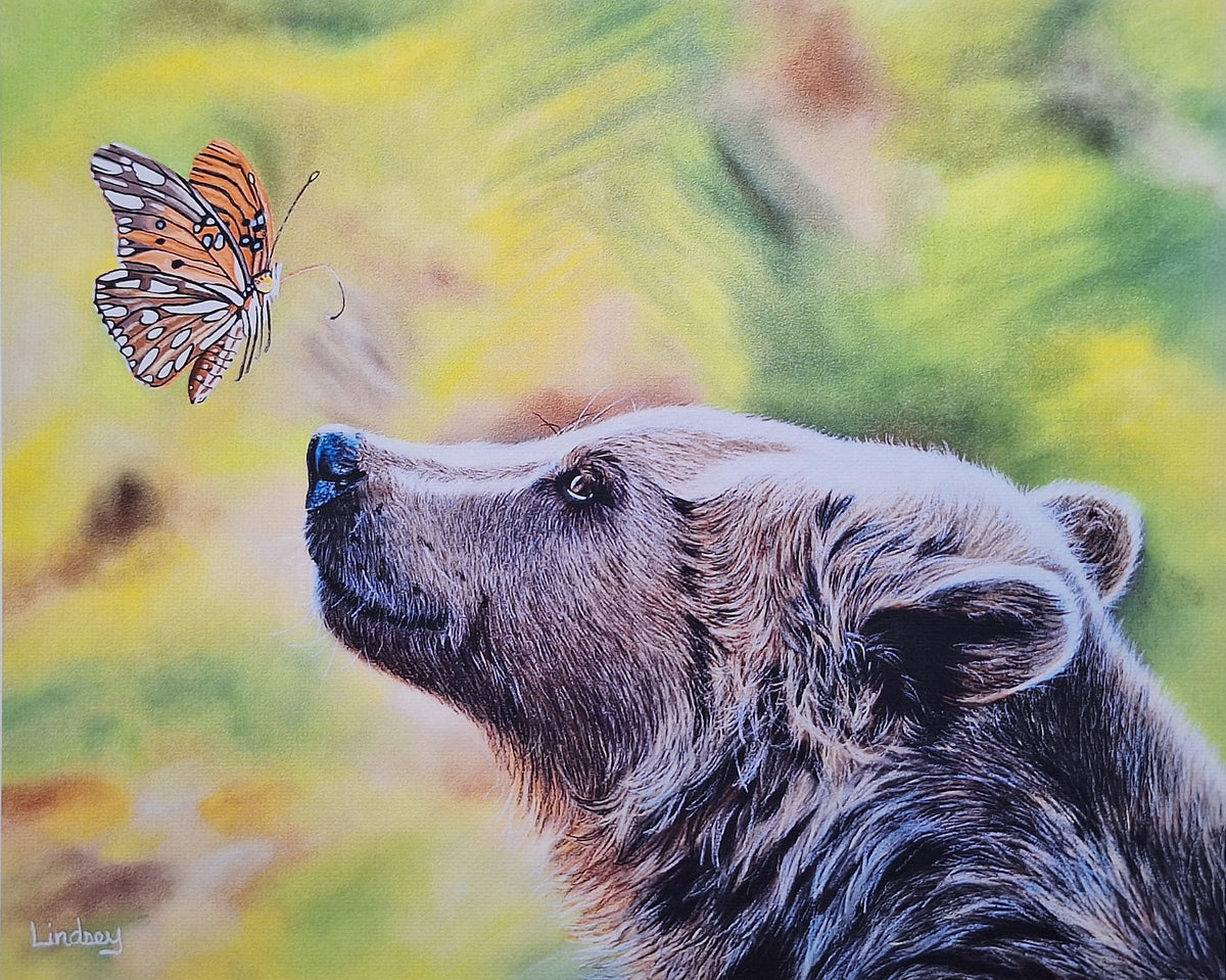 Bear and the Butterfly