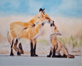 Fox and Kit