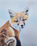 Fox Kit