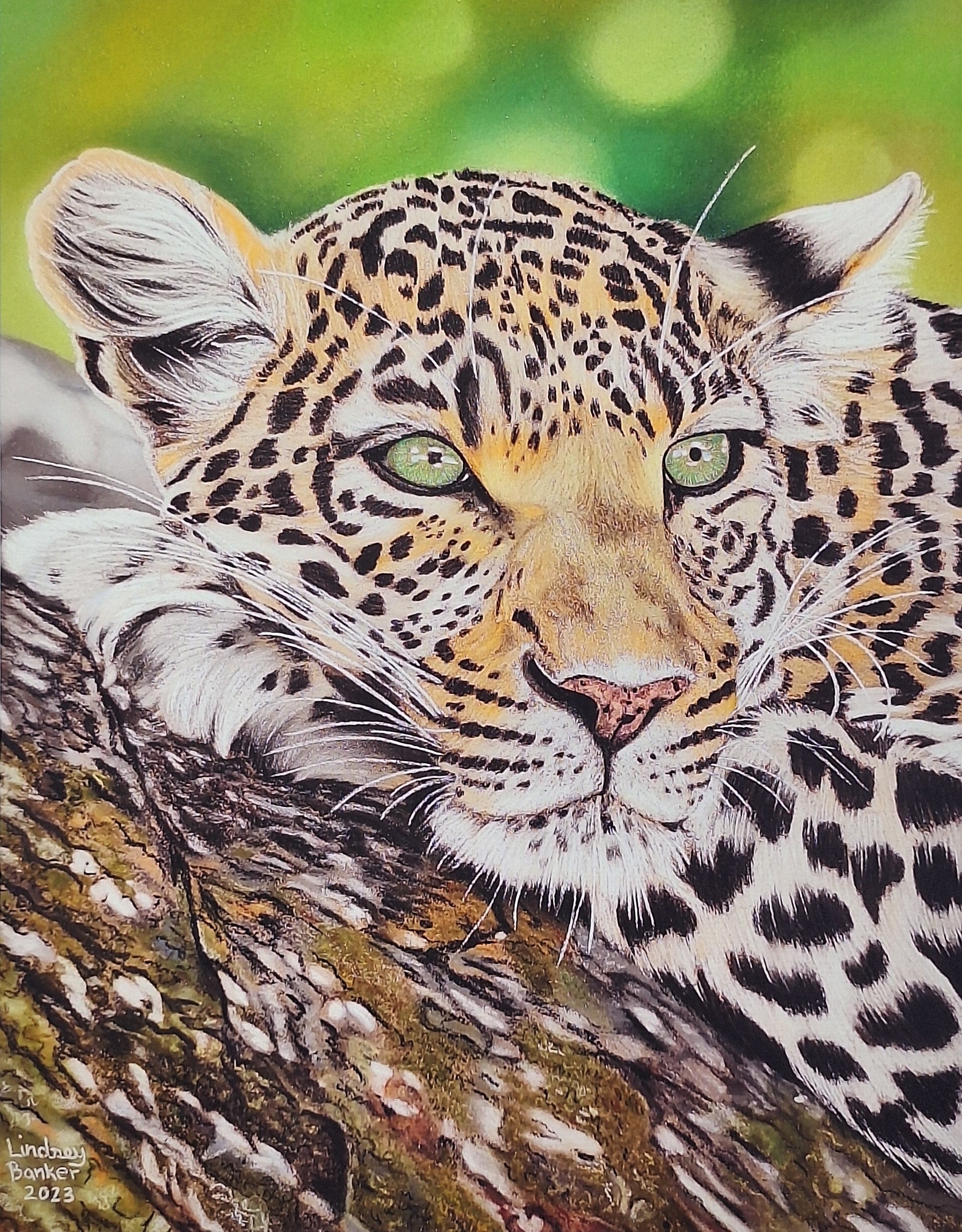 Leopard