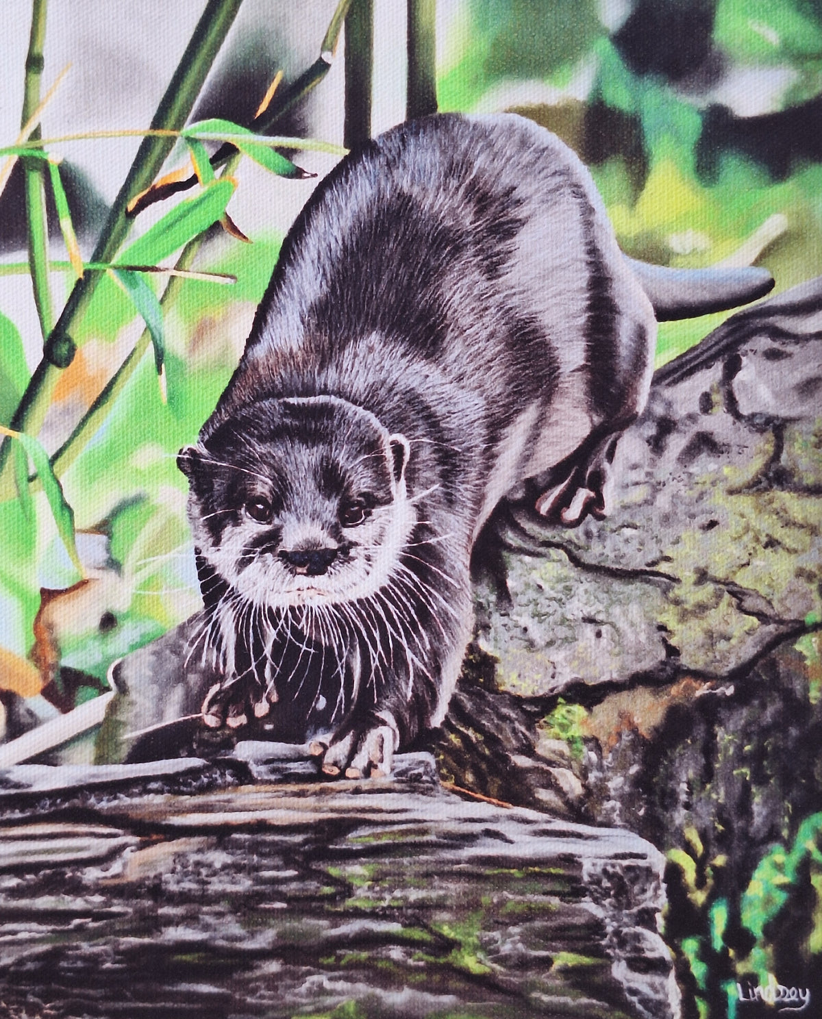Otter